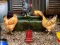 Joc Poultry Farm Easter Escape on-line