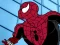 Joc Spiderman Dress on-line