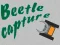 Joc Beetle Capture on-line