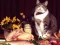 Joc Funny Cats Puzzle on-line