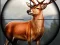 Joc Animal Safari Hunter 2020 on-line