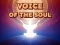 Joc Voice Of The Soul on-line