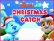 Joc Nick Jr. Christmas Catch on-line