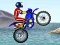 Joc FMX team on-line