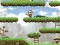 Joc Maple story on-line