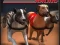 Joc Greyhound Racing on-line