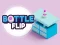 Joc Bottle Flip on-line