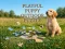 Joc Playful Puppy Outdoor Puzzle on-line
