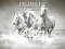 Joc Horses Puzzle on-line