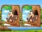 Joc Jungle 5 Diffs on-line