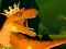 Joc The Dino King on-line