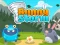 Joc Bunny Storm on-line