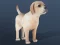 Joc IDLE Pet on-line