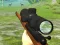 Joc Hunter 3D on-line