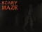 Joc Scary Maze on-line