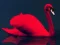 Joc Love Birds Puzzle on-line