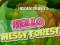 Joc Hidden Objects Hello Messy Forest on-line