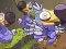 Joc Save The Dodos on-line
