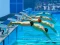 Joc Swimming Pool Race on-line
