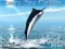 Joc Azure Sea Fishing on-line