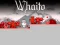 Joc Whaito on-line