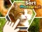 Joc Sort Photograph on-line
