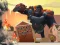 Joc Angry City Smasher on-line