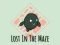 Joc Lost In The Maze on-line