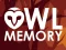 Joc Owl Memory on-line