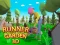 Joc Runner Garden 3d on-line