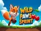 Joc Wild Paws Sprint on-line