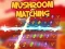 Joc Mushroom matching on-line