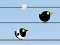 Joc Gone with the Birds on-line