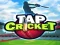Joc Tap Cricket on-line