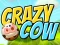 Joc Crazy Cow on-line