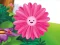 Joc Funny Flowers Jigsaw on-line