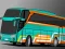 Joc Villager Bus Simulator on-line