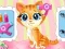 Joc Pets Beauty Salon on-line