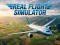 Joc Real Flight Simulator on-line