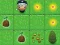 Joc Magic Seeds on-line