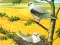 Joc Birds Of Prey Puzzle on-line