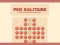 Joc Peg Solitaire on-line