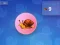 Joc Snail Clicker on-line