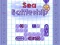 Joc Sea Battleship on-line