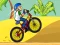 Joc BMX Boy Online on-line