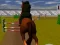 Joc Jumping Horse 3d on-line