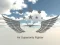 Joc Air Superiority Fighter on-line
