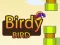 Joc Birdy Bird on-line