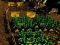 Joc Pixel Farm on-line