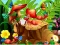 Joc Hidden Objects Insects on-line